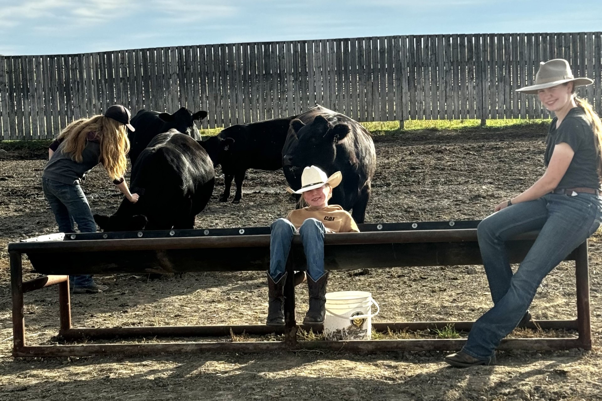 Thomas petting calf